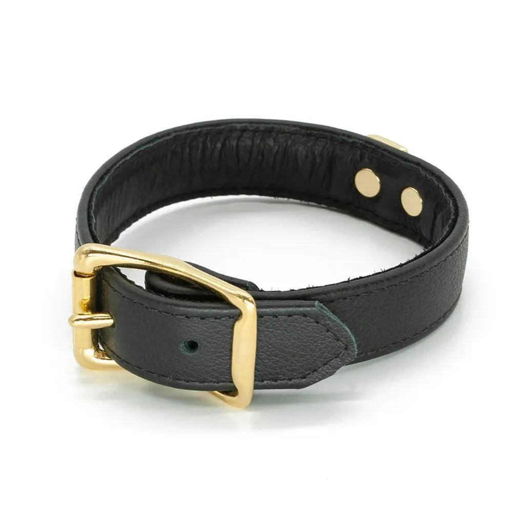 Garment Leather Collar with Brass Gold Hardware