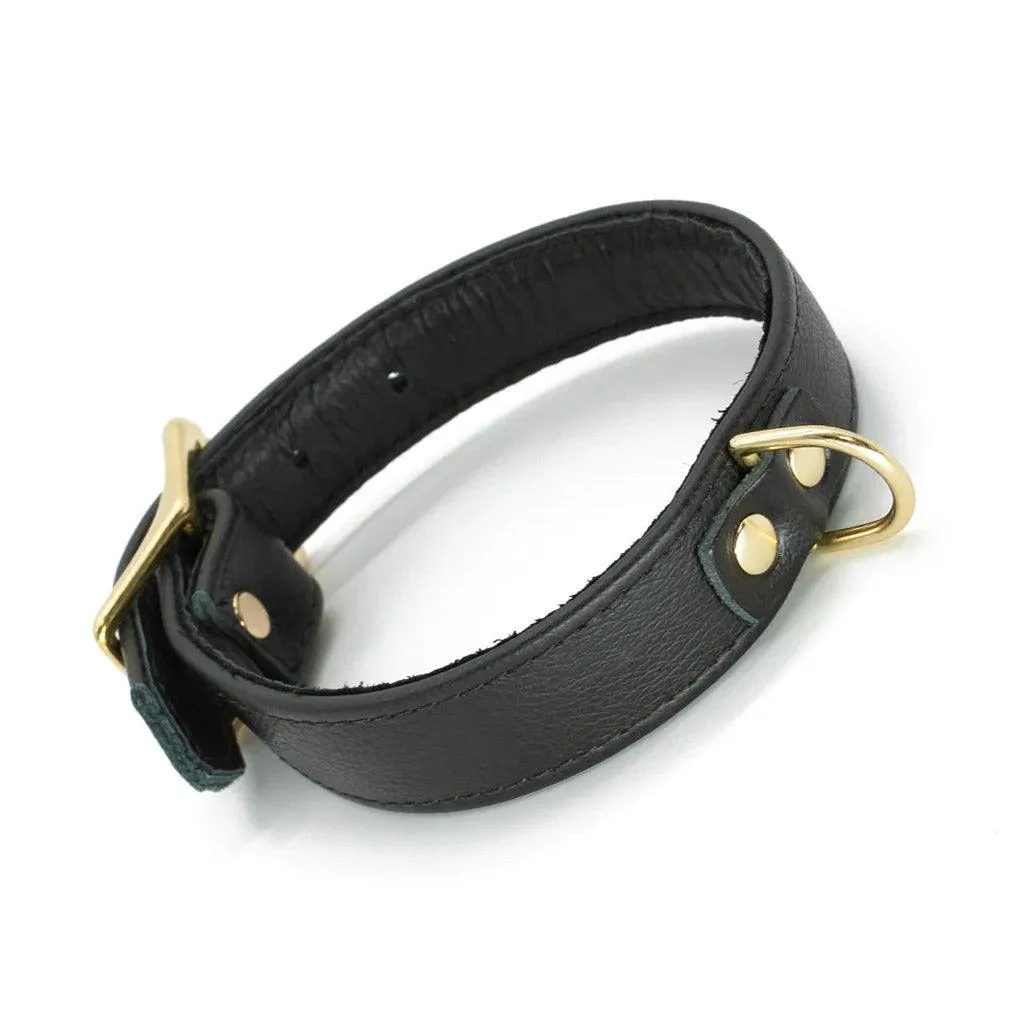 Garment Leather Collar with Brass Gold Hardware