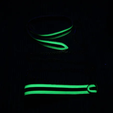 Whipsmart Glow in the Dark Deluxe Role-Play Collar & Leash