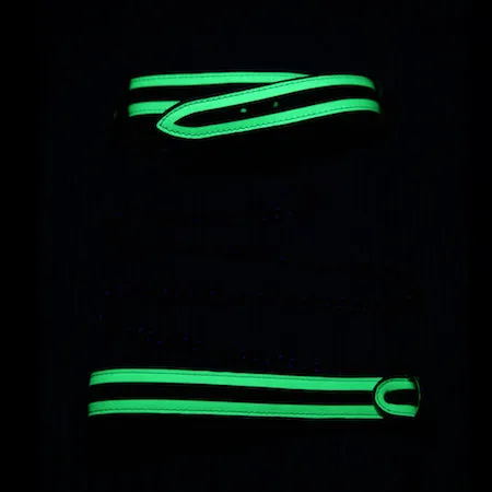 Whipsmart Glow in the Dark Deluxe Role-Play Collar & Leash