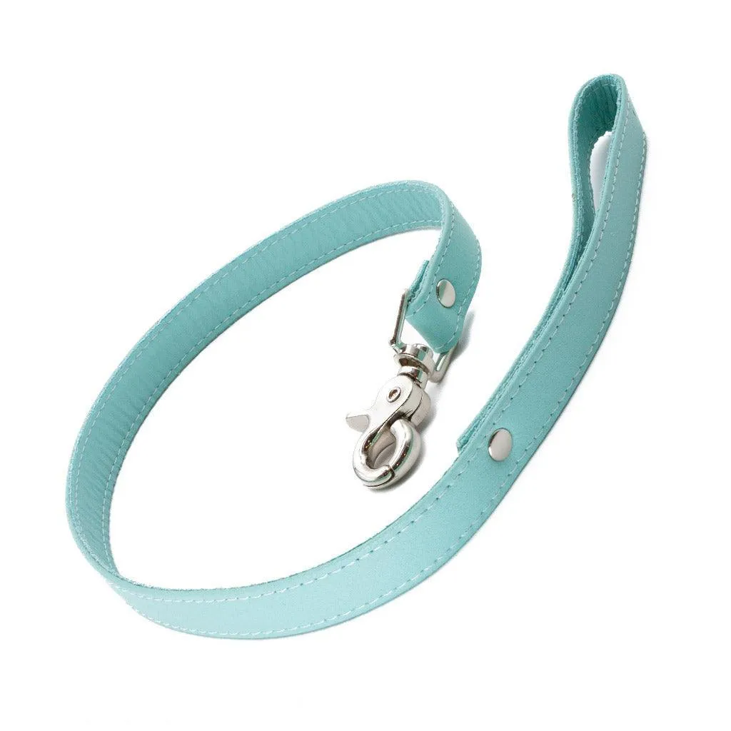 Zoë Ligon x The Stockroom Limited Edition 2' Leash. Mint Green